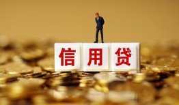成都44哪有短借-成都44正规身份证贷款-成都44无抵押身份证贷款